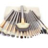Champagne Make-up Brush Suit