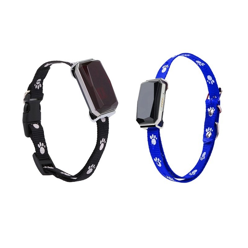 Pet GPS Positioning Collar