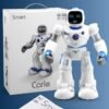 Educational Robot