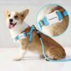 Cat & Dog Smart GPS Locator - Image 2