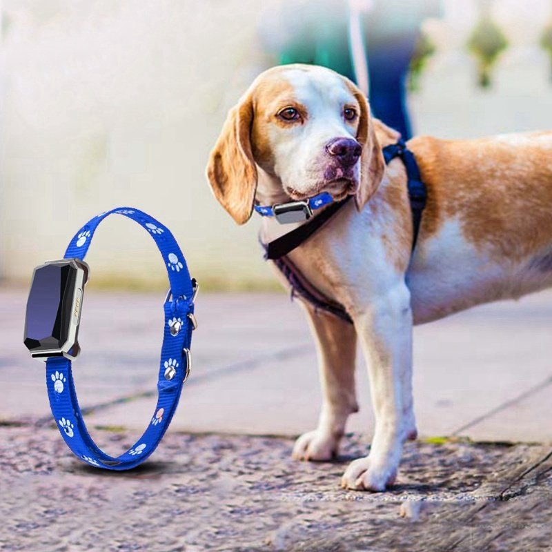 Pet GPS Positioning Collar - Image 2